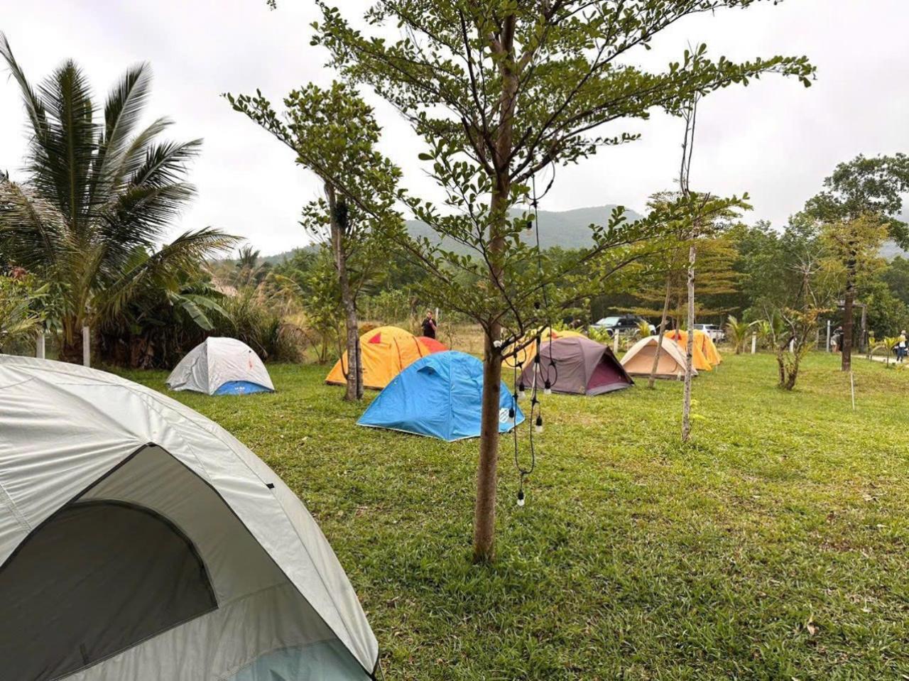 Homie Hava Homestay 랑코 외부 사진