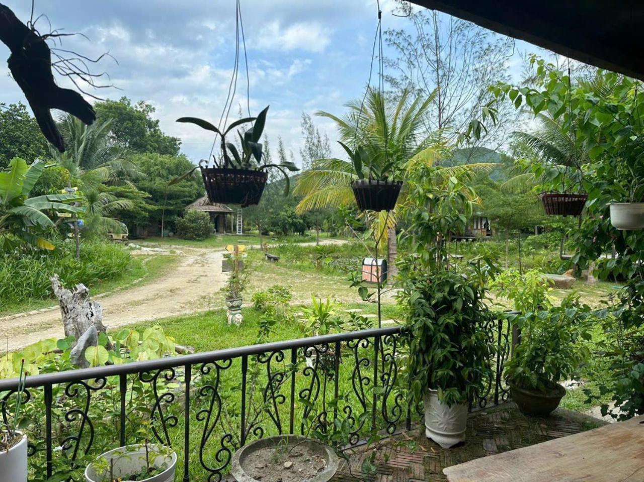 Homie Hava Homestay 랑코 외부 사진